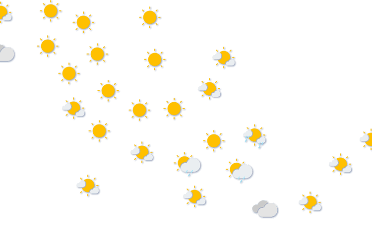 Forecast