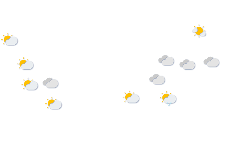 Forecast