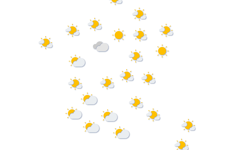 Forecast