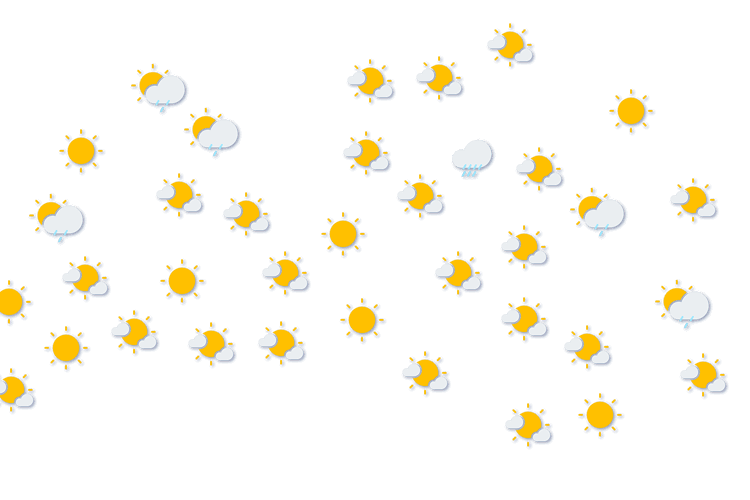 Forecast