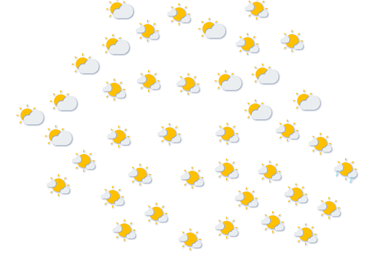 Forecast