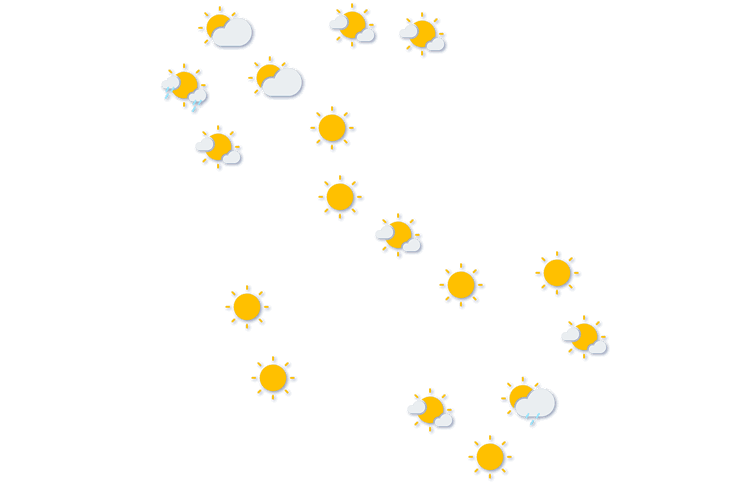 Forecast