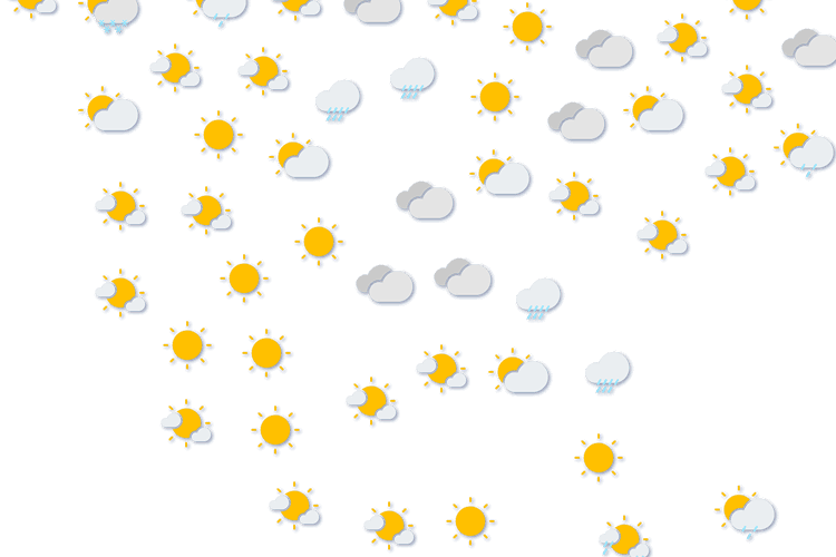 Forecast