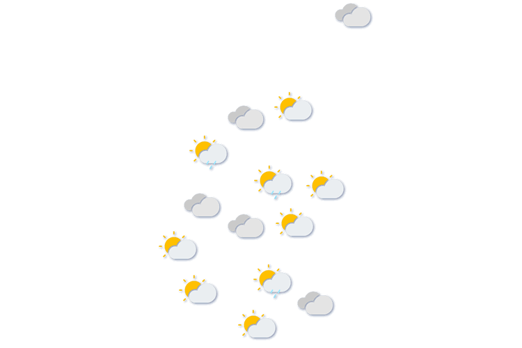 Forecast