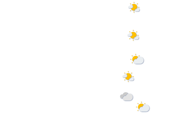 Forecast