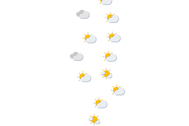 Forecast