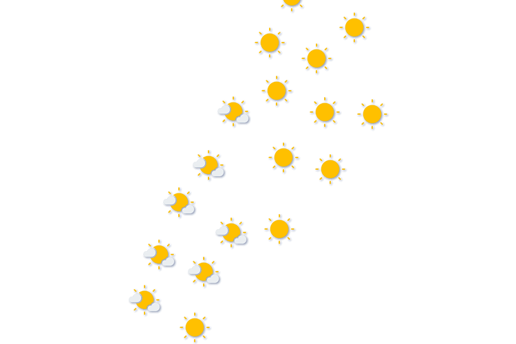 Forecast