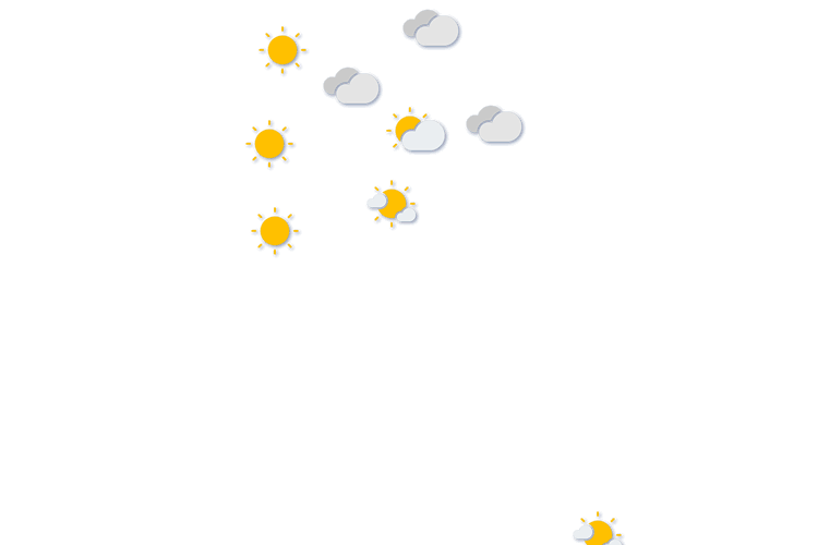 Forecast