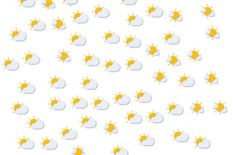 Forecast