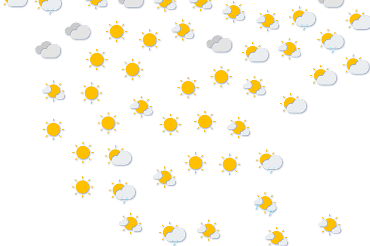 Forecast