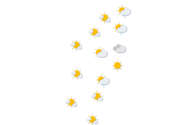 Forecast