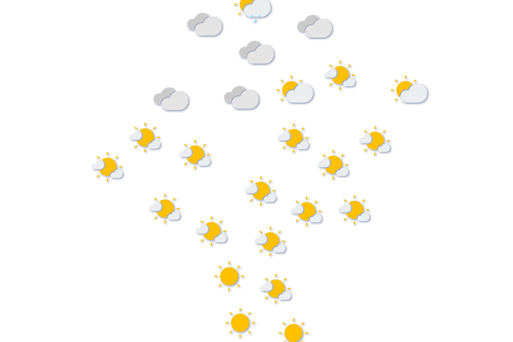 Forecast