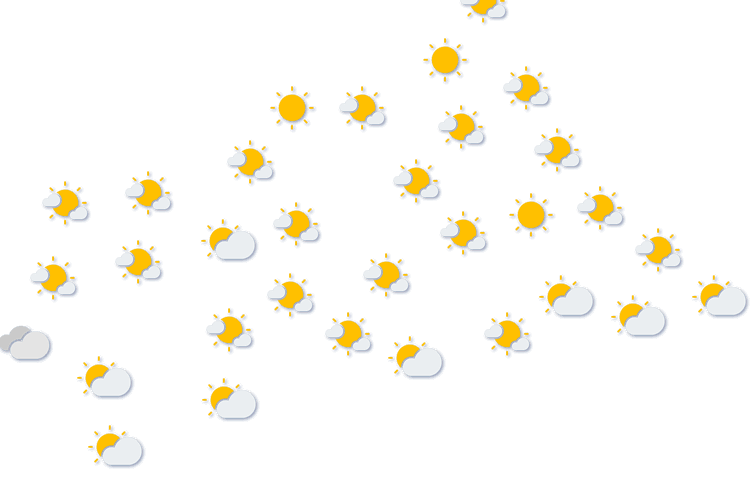 Forecast
