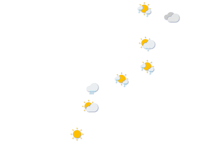 Forecast
