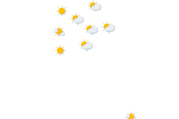 Forecast