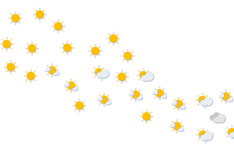 Forecast
