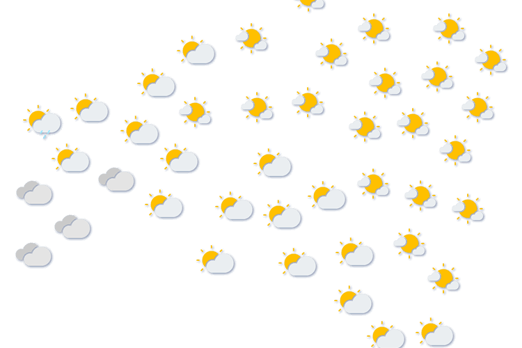 Forecast