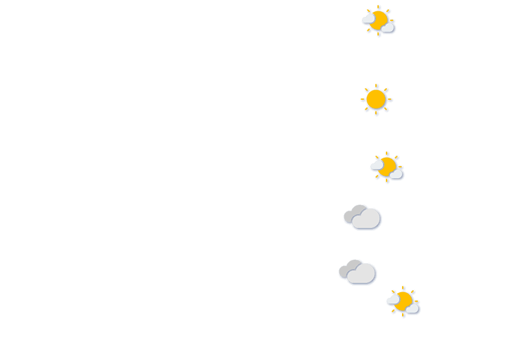 Forecast