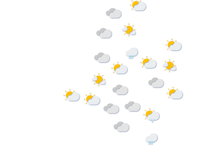 Forecast
