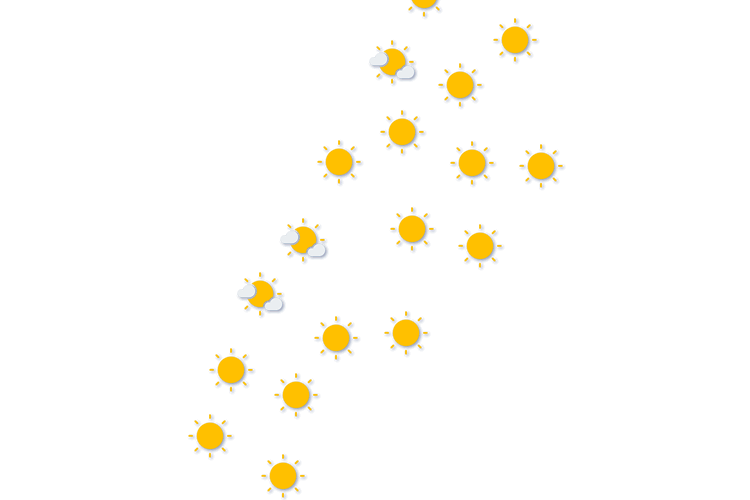Forecast