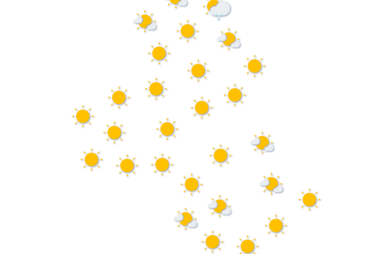 Forecast