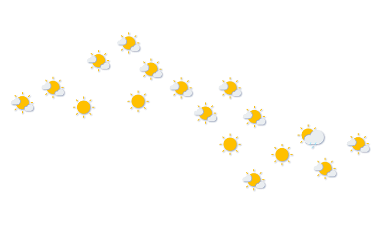 Forecast