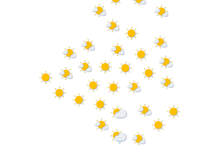 Forecast