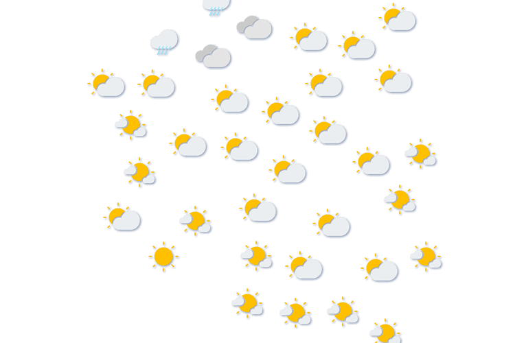 Forecast