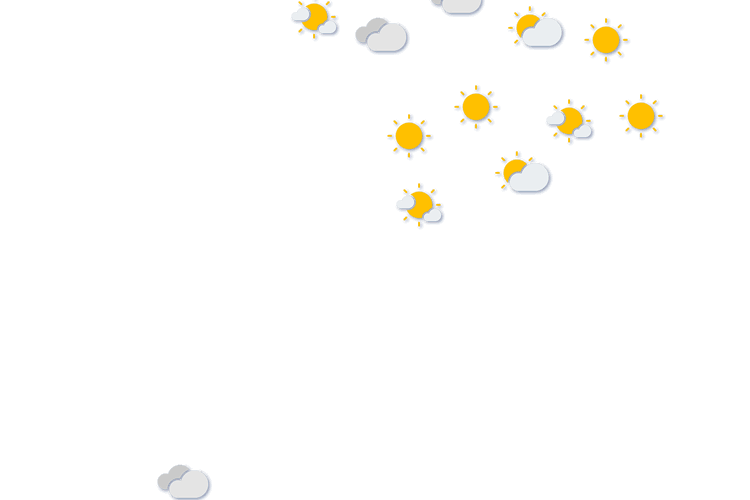 Forecast