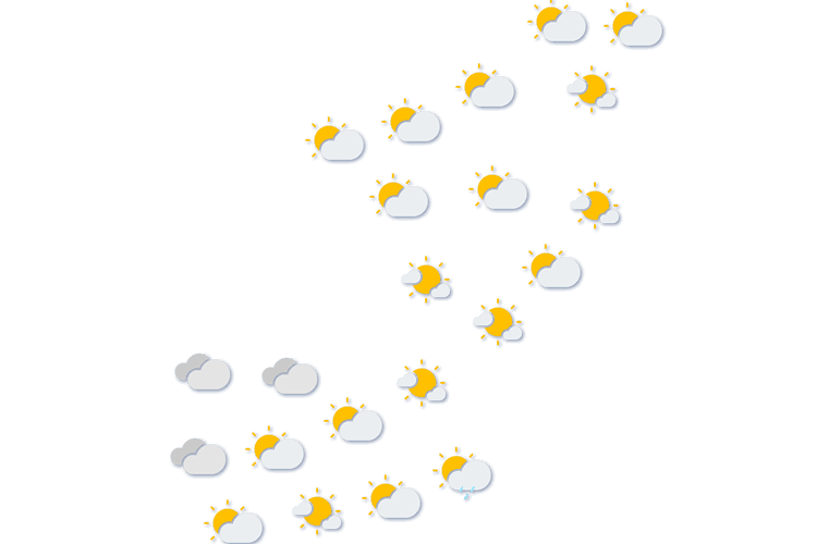 Forecast