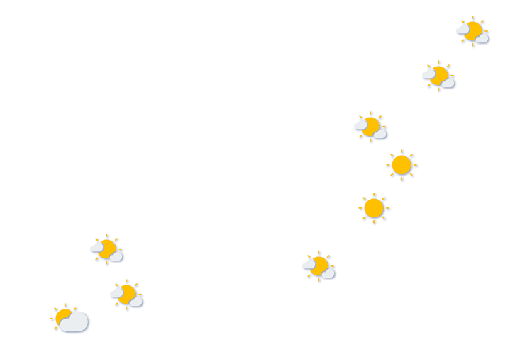 Forecast