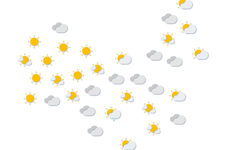 Forecast