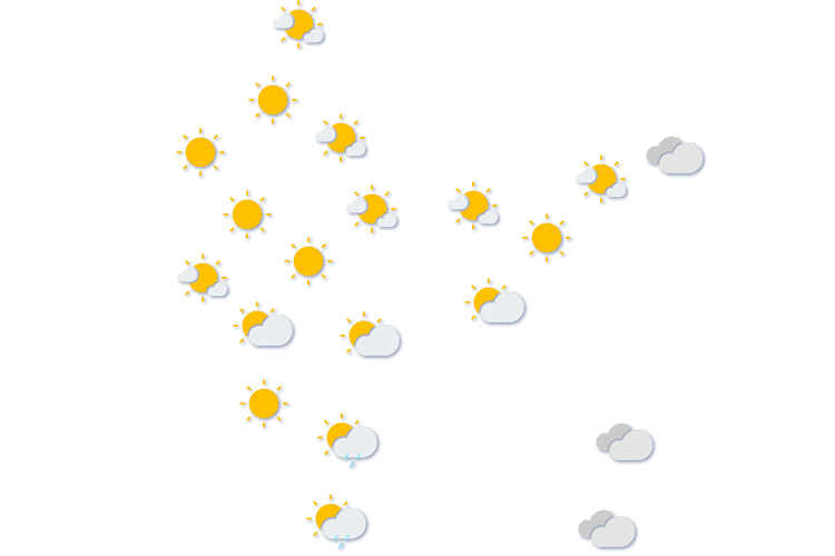 Forecast