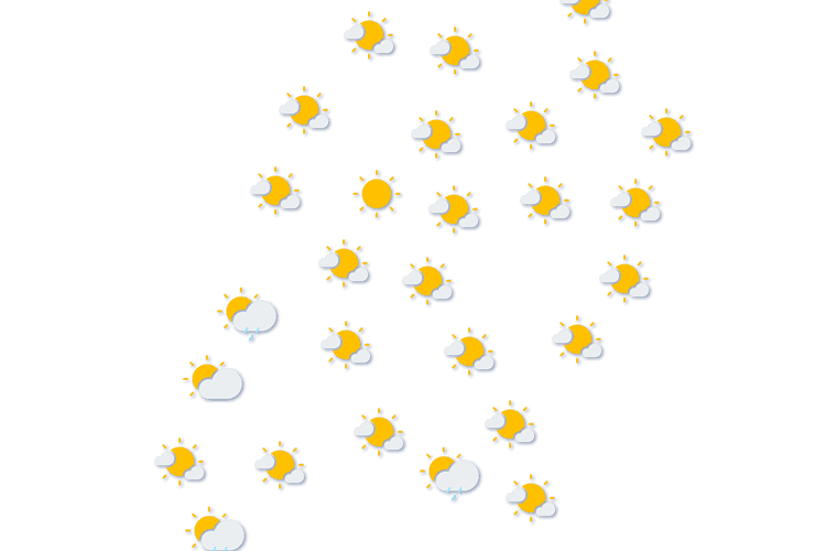 Forecast