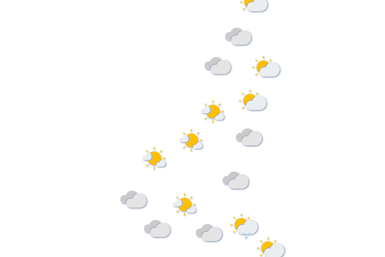 Forecast