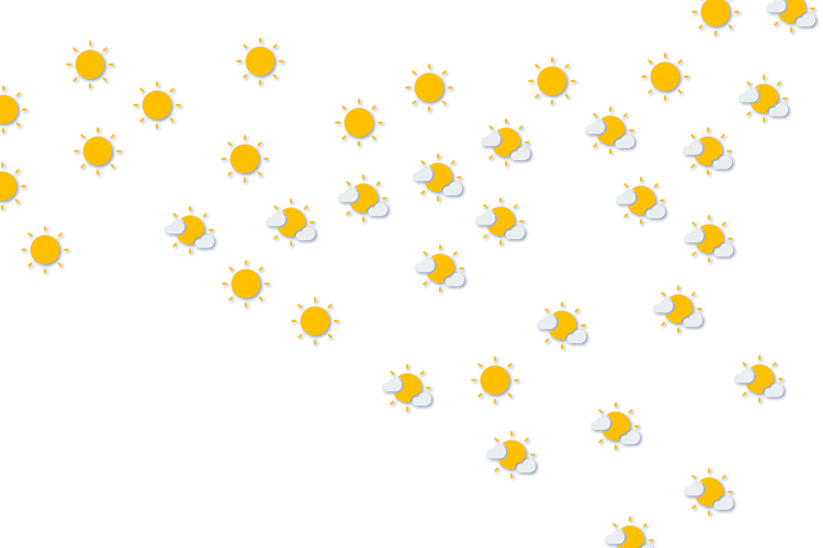 Forecast