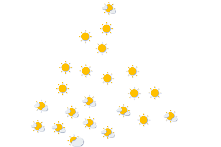 Forecast
