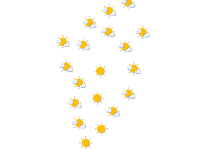 Forecast