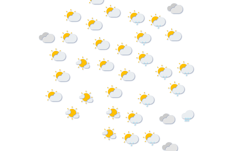 Forecast