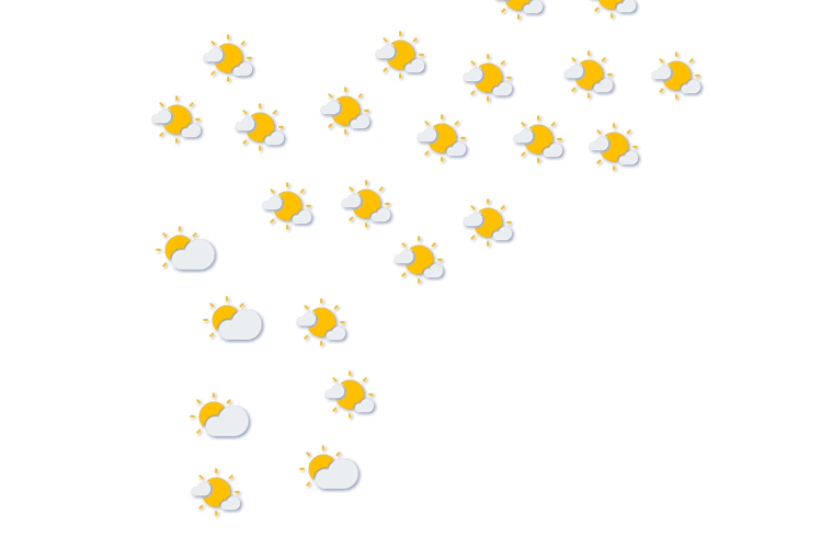 Forecast