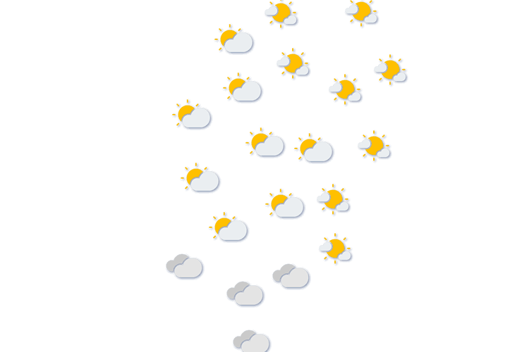 Forecast
