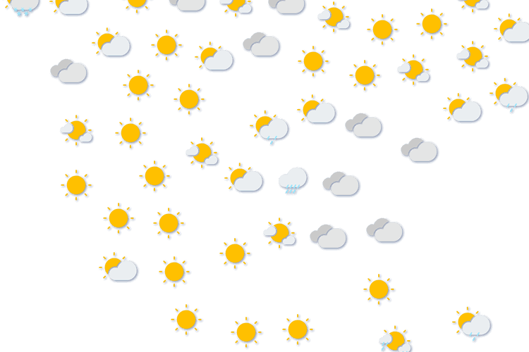 Forecast