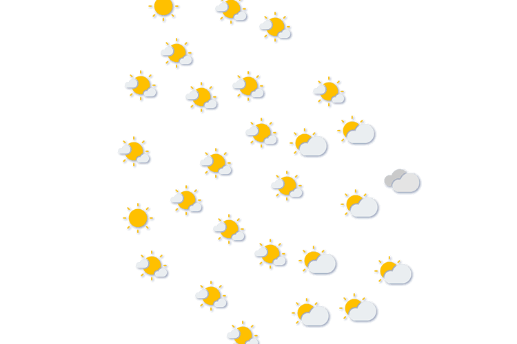 Forecast