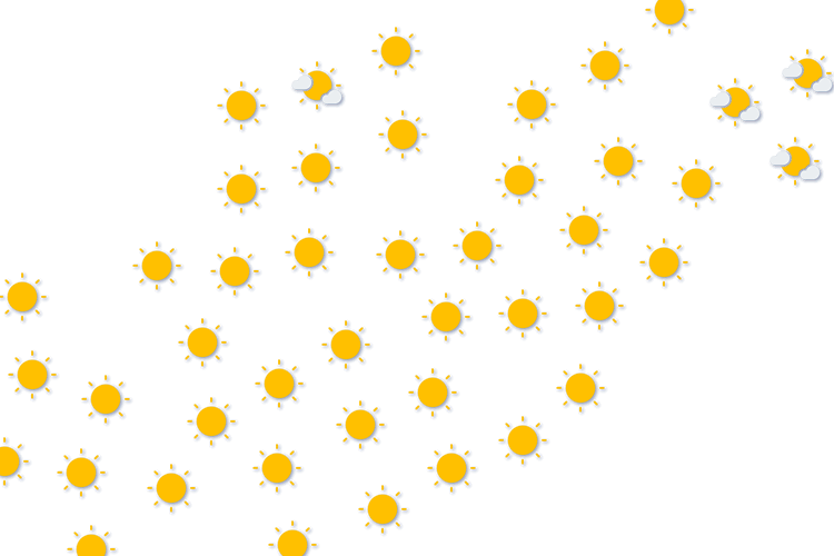 Forecast