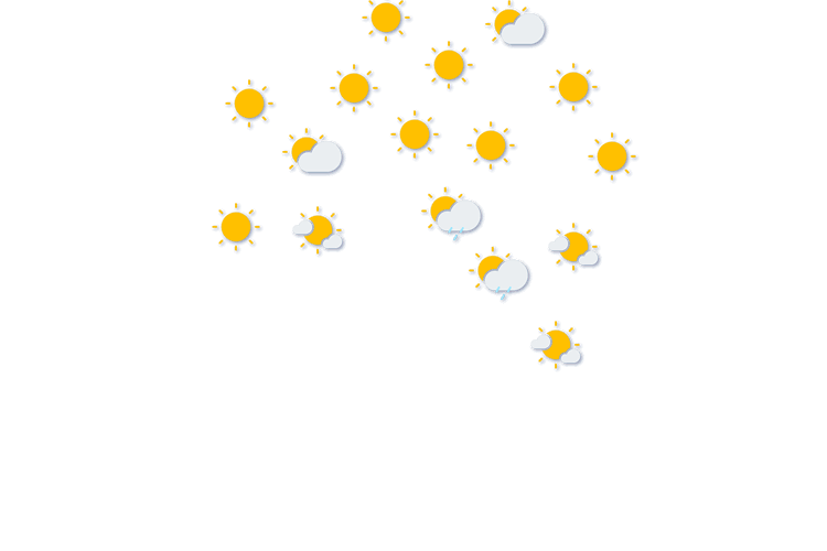 Forecast