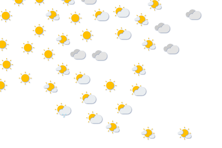 Forecast