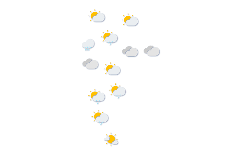 Forecast