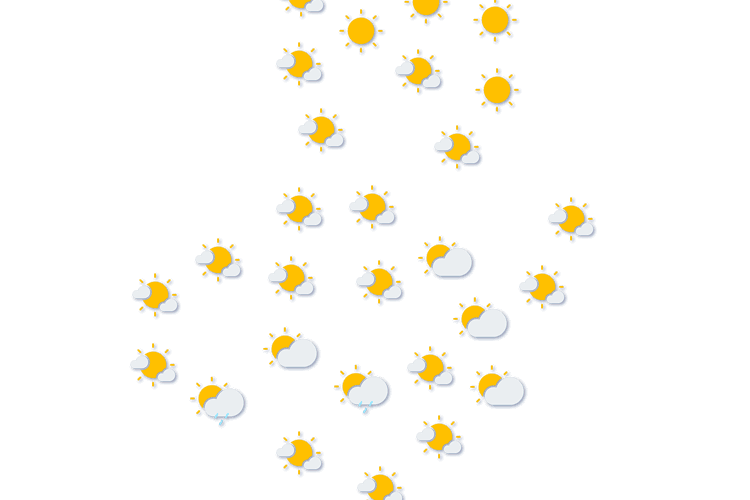 Forecast