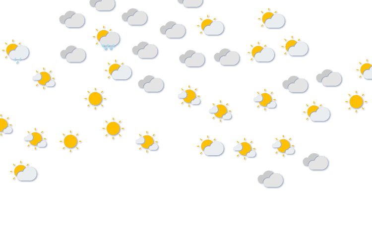 Forecast