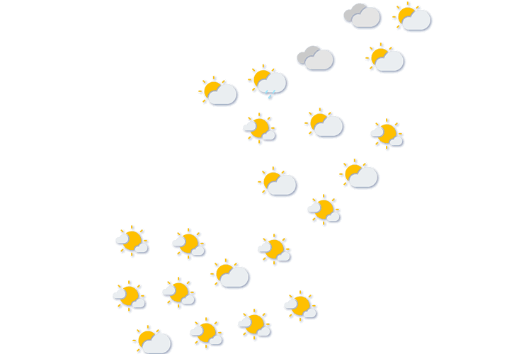 Forecast